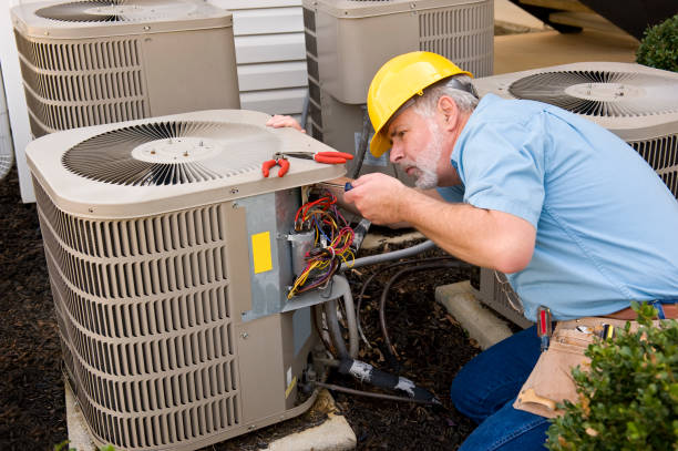 Best HVAC Tune-Up Services  in Rockford, MN
